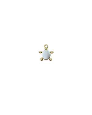 TORTUGA BLANCA