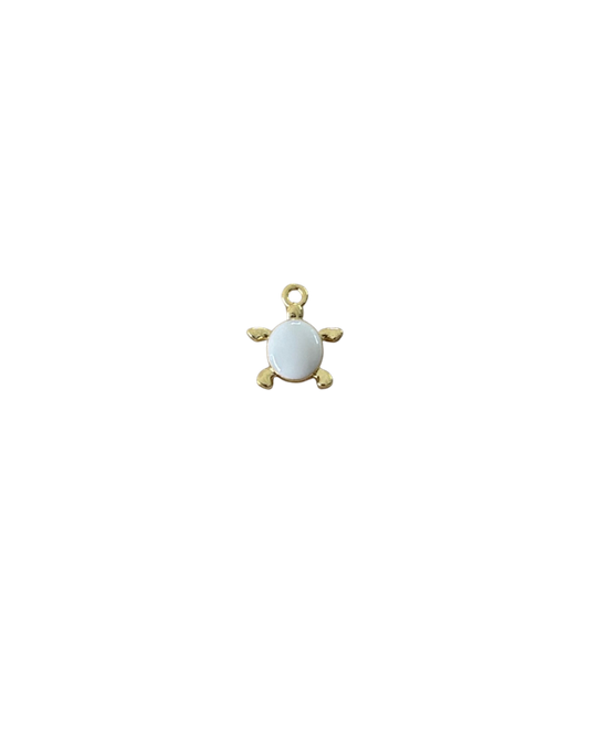TORTUGA BLANCA