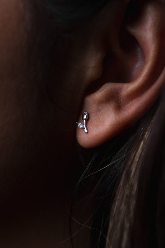 TULIPÁN PLATA