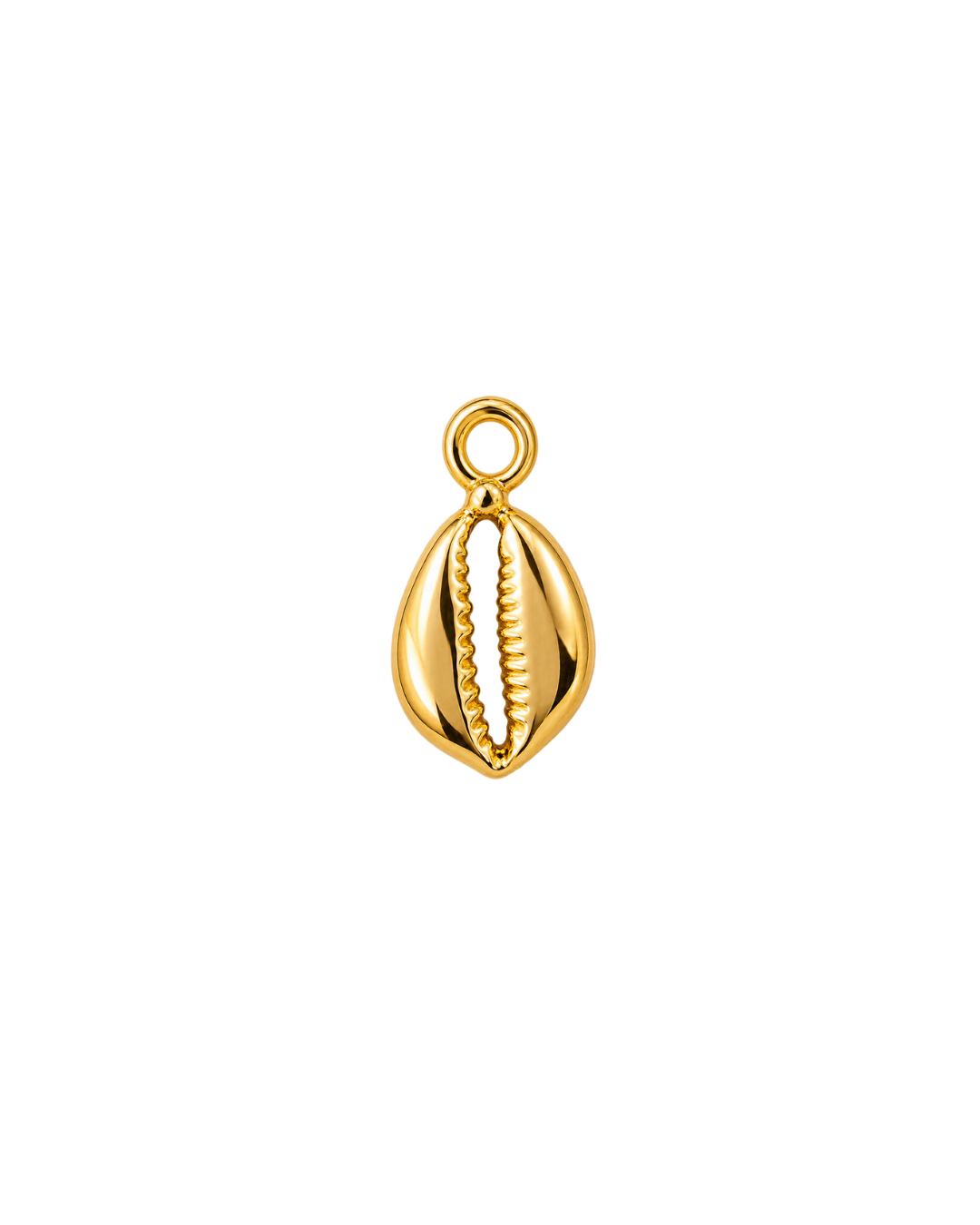 CONCHA DORADA MINI