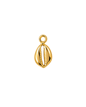 CONCHA DORADA MINI