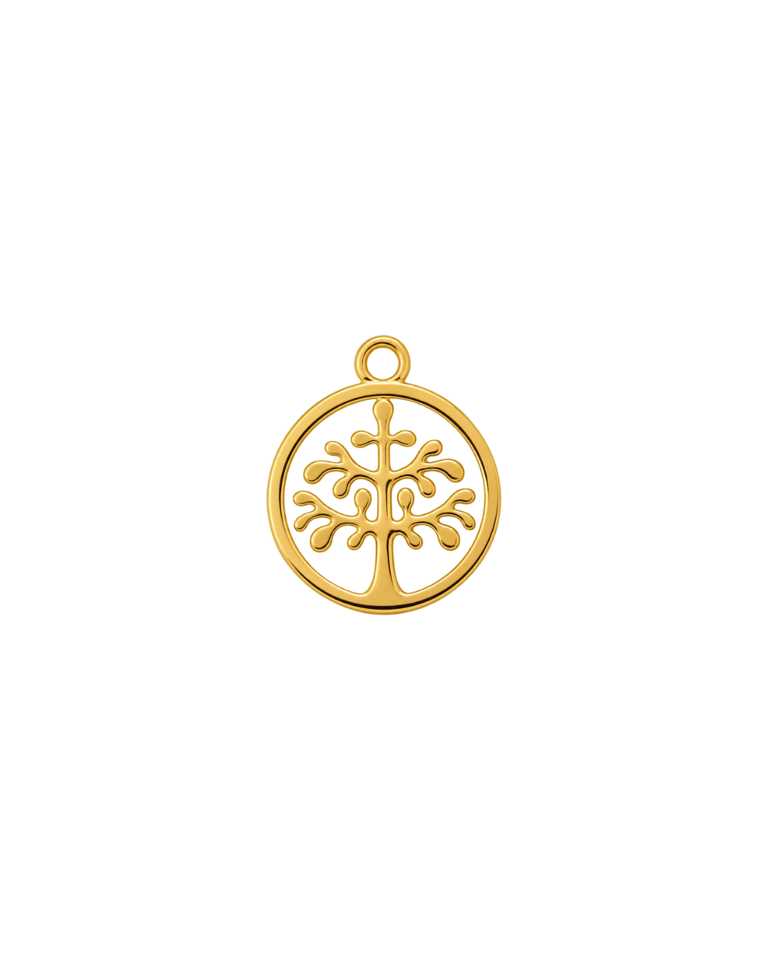 ÁRBOL DE LA VIDA
