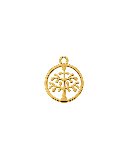 ÁRBOL DE LA VIDA