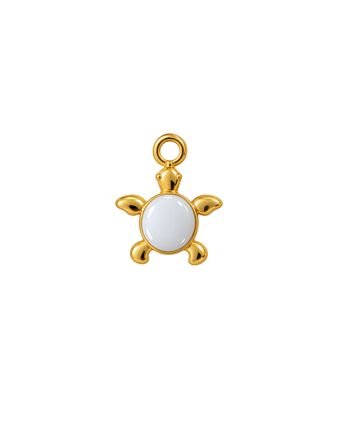TORTUGA BLANCA