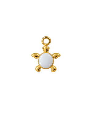 TORTUGA BLANCA