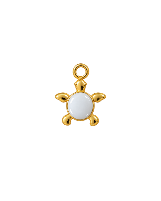 TORTUGA BLANCA