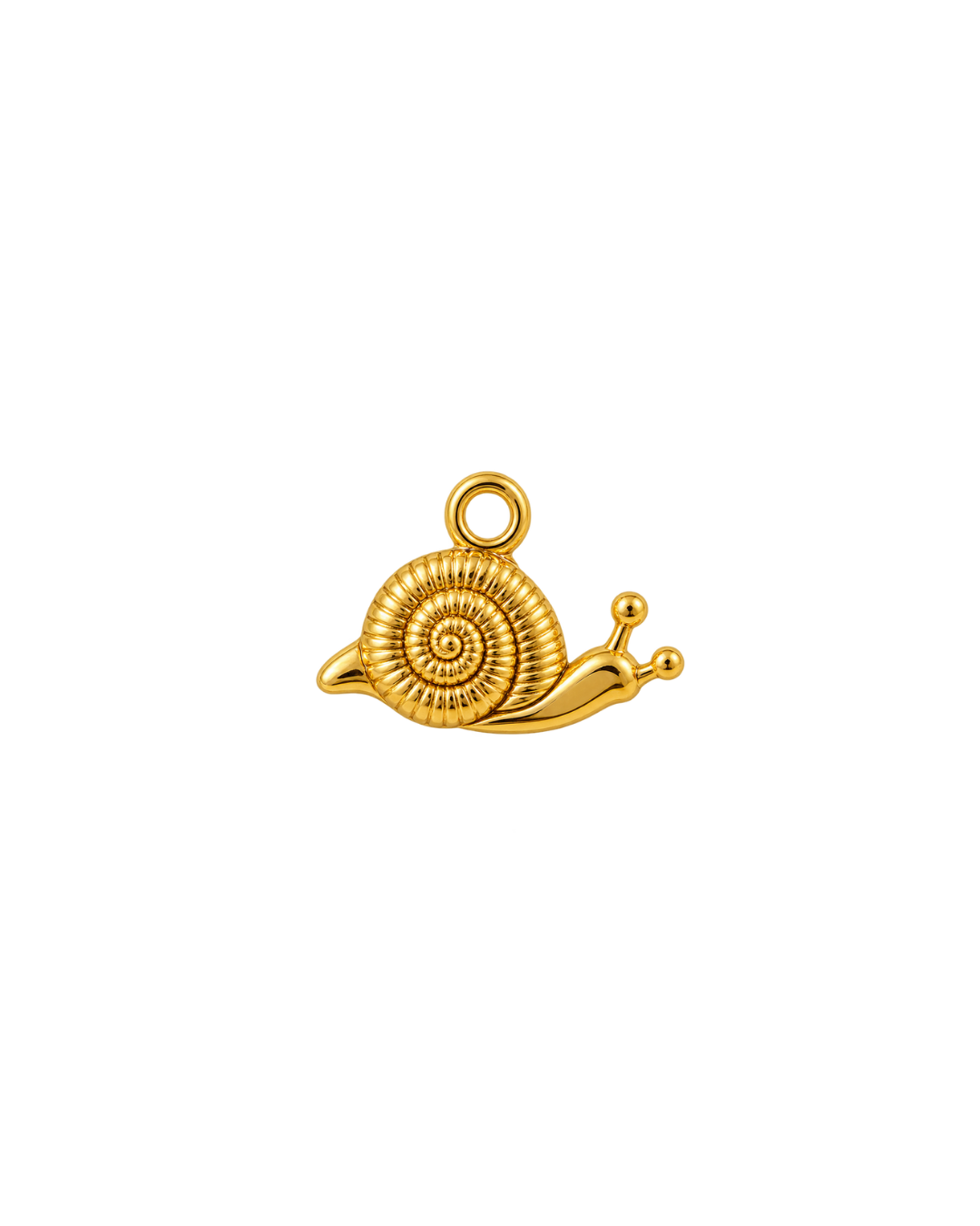 CARACOL