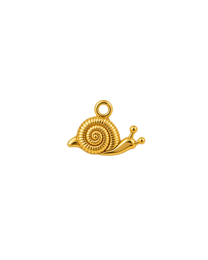 CARACOL