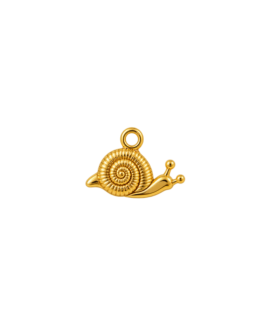 CARACOL