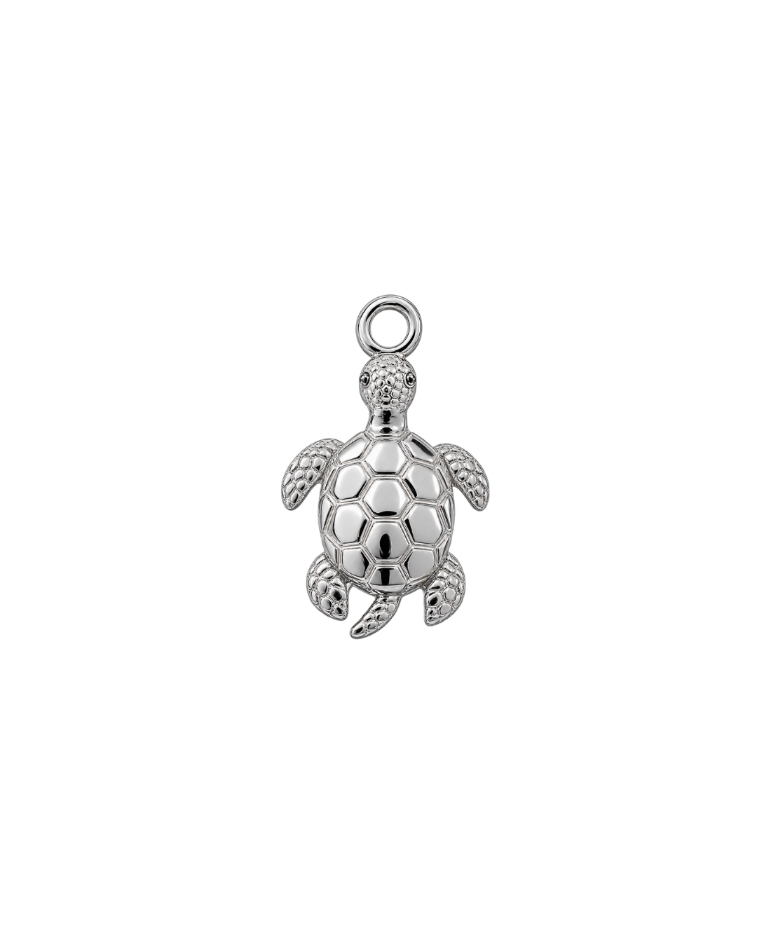 TORTUGA PLATEADA