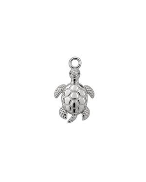 TORTUGA PLATEADA