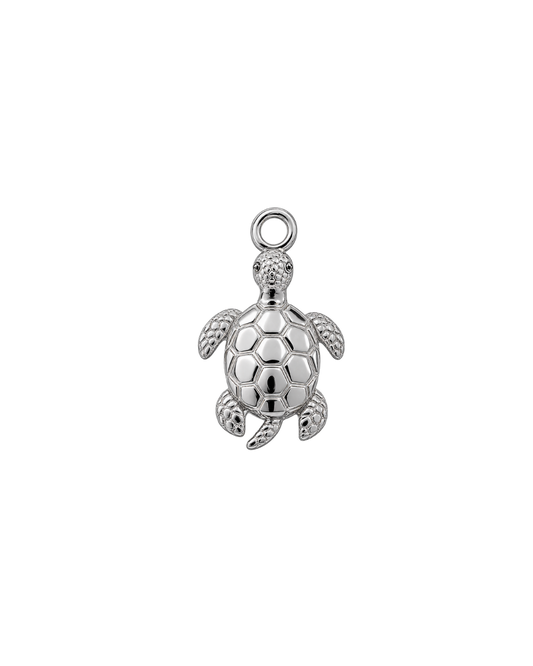TORTUGA PLATEADA