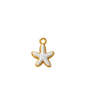 ESTRELLA DE MAR BLANCA