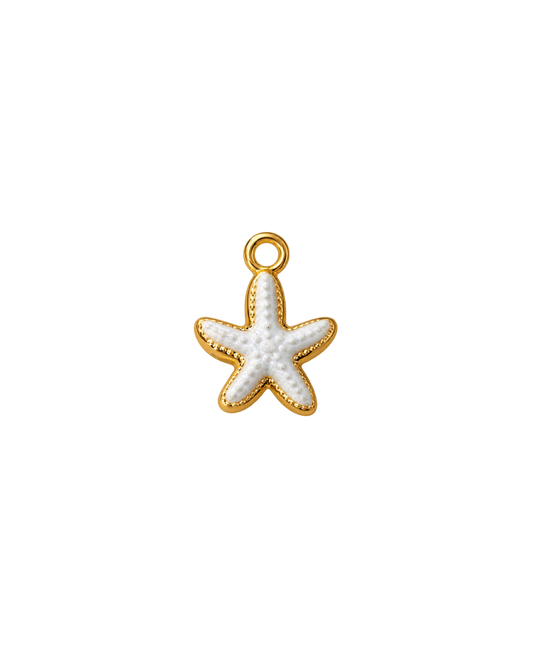 ESTRELLA DE MAR BLANCA