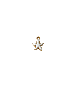 ESTRELLA DE MAR BLANCA